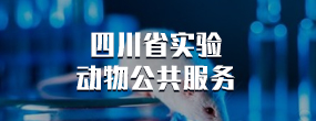 GG扑克
